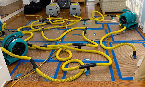 Professional Flood Damage Restoration technician working in Paradise, PA